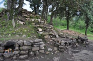 photo of stone steps near trees nature-energy